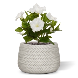 Bouquet di petunie artificiali 25 cm crema