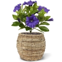 Bouquet di petunie artificiali 25 cm viola