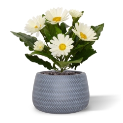 Bouquet di Gerbera artificiale 30 cm crema