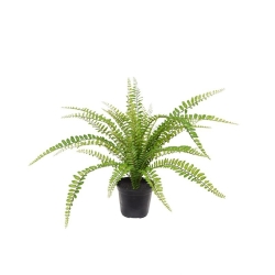 Asplenium Fern pianta artificiale 45 cm in vaso
