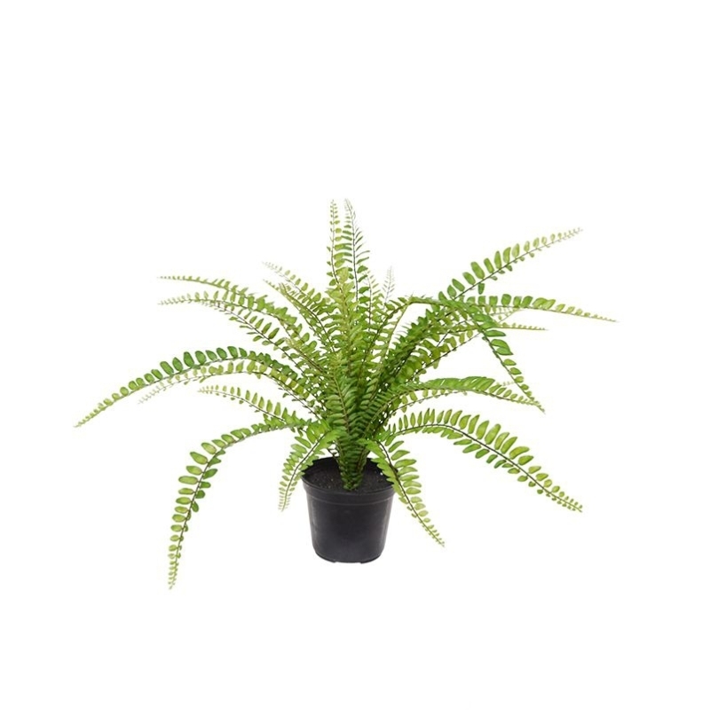 Asplenium Fern pianta artificiale 45 cm in vaso