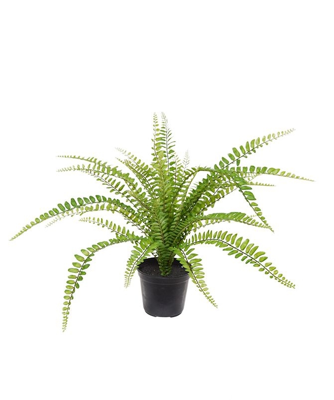 Asplenium Fern pianta artificiale 45 cm in vaso