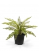 Asplenium Fern pianta artificiale 35 cm in vaso