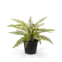 Asplenium Fern pianta artificiale 35 cm in vaso