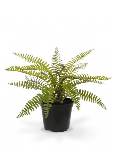 Asplenium Fern pianta artificiale 35 cm in vaso