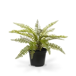 Asplenium Fern pianta artificiale 35 cm in vaso
