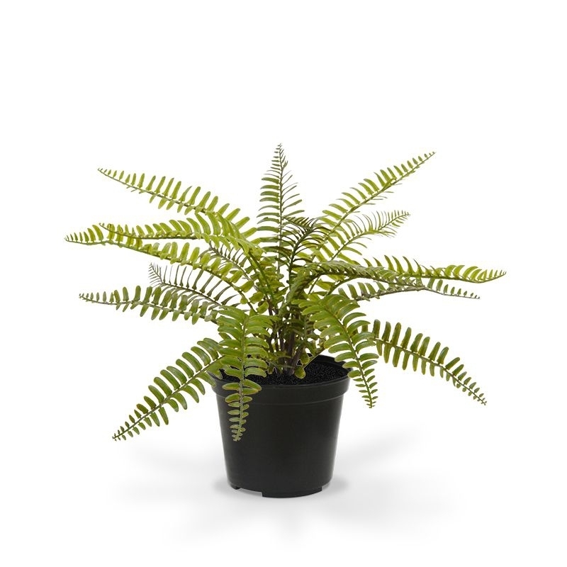 Asplenium Fern pianta artificiale 35 cm in vaso