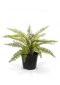 Asplenium Fern pianta artificiale 35 cm in vaso