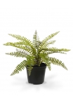 Asplenium Fern pianta artificiale 35 cm in vaso