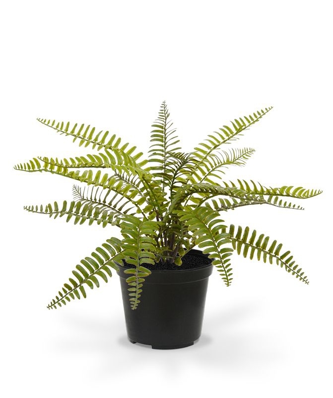 Asplenium Fern pianta artificiale 35 cm in vaso
