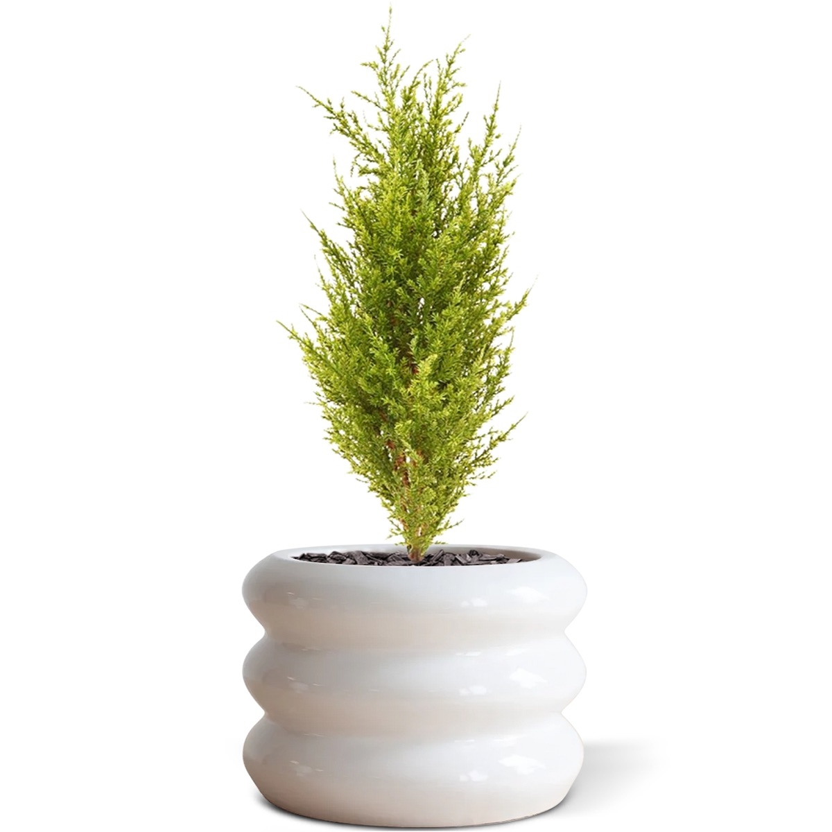 Bouquet di cipressi artificiali 56 cm (verde-giallo)