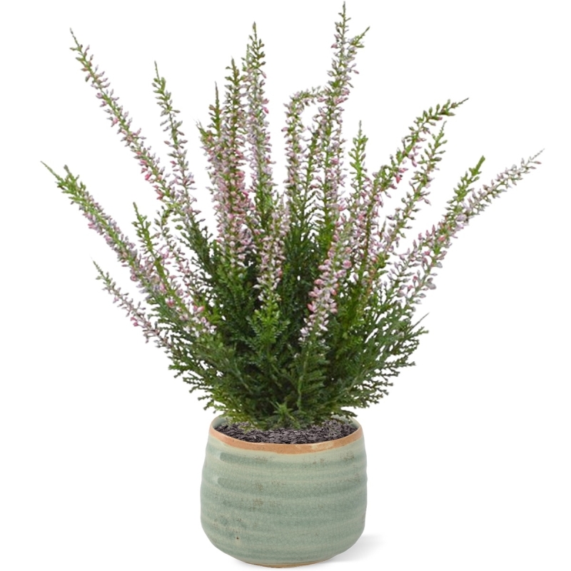 Bouquet artificiale di Erica Heather 30 cm rosa