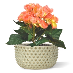 Begonia artificiale 20 cm - salmone