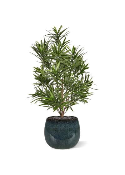 Bouquet artificiale di Podocarpus 50 cm UV