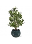 Bouquet artificiale di Podocarpus 50 cm UV