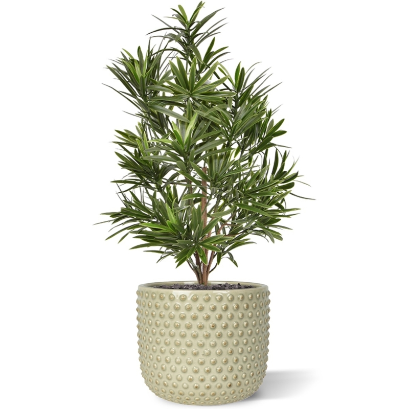 Bouquet artificiale di Podocarpus 50 cm UV