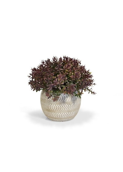 Mini bosso artificiale 15 cm bordeaux in vaso