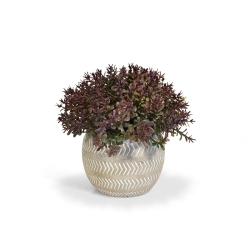 Mini bosso artificiale 15 cm bordeaux in vaso
