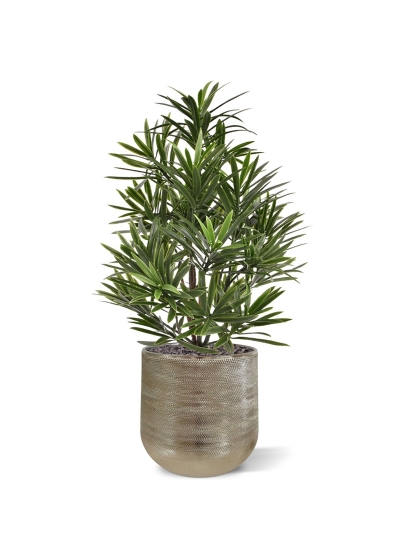 Bouquet artificiale di Podocarpus 40 cm UV
