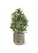 Bouquet artificiale di Podocarpus 40 cm UV