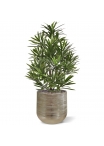 Bouquet artificiale di Podocarpus 40 cm UV
