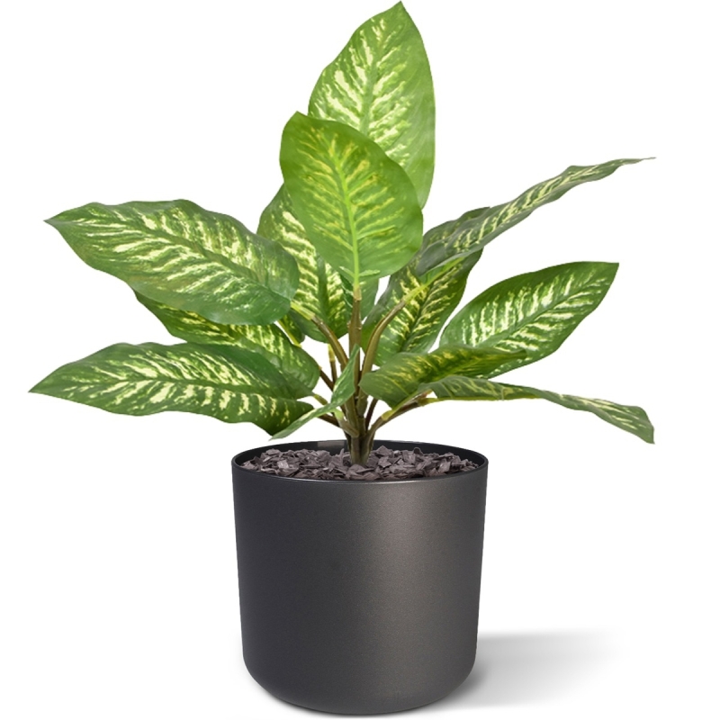 Bouquet artificiale Dieffenbachia Zebra 25 cm