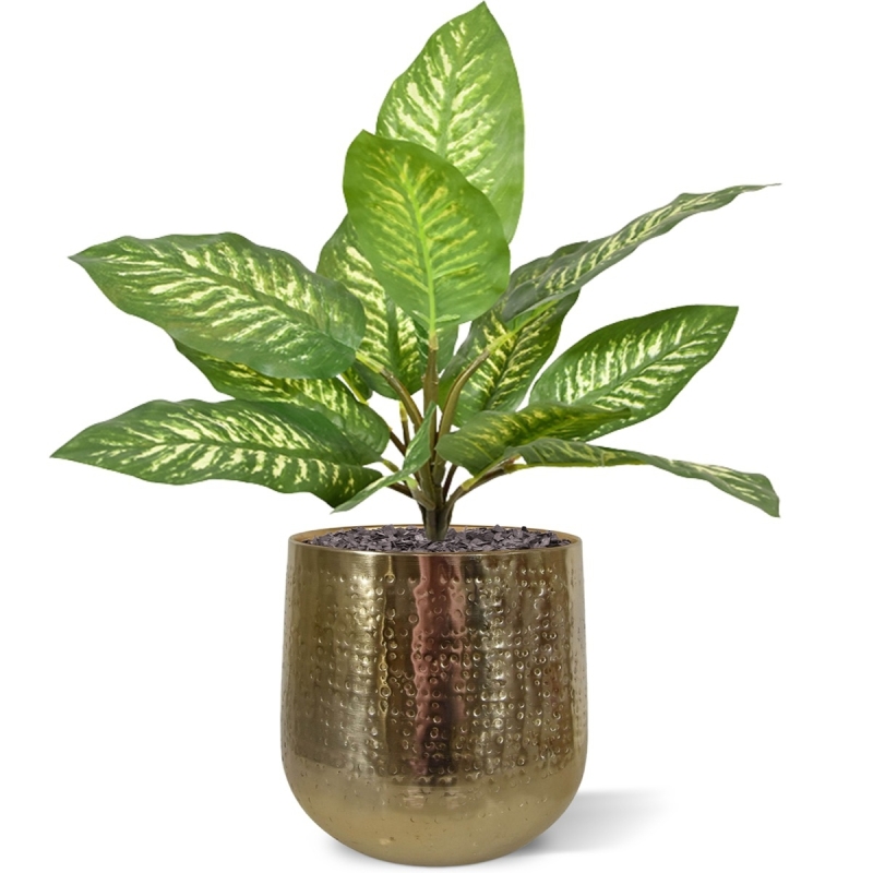 Bouquet artificiale Dieffenbachia Zebra 25 cm