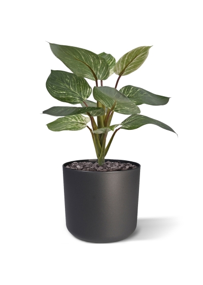 Filodendro Birkin pianta artificiale 30 cm