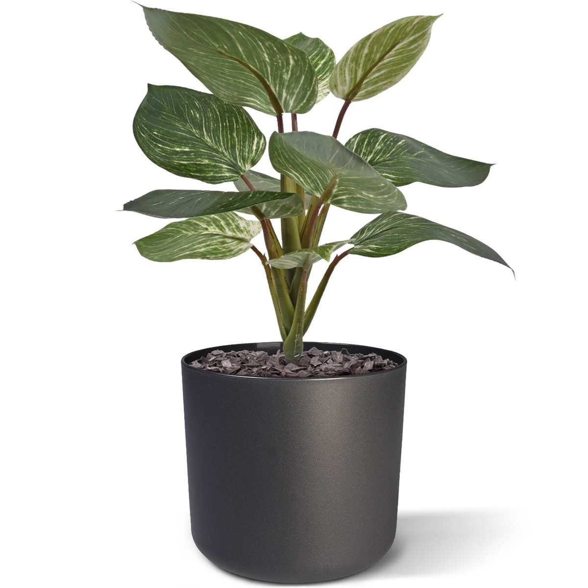 Filodendro Birkin pianta artificiale 30 cm