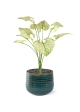 Bouquet di Brunnera artificiel 55cm verde-crema