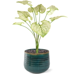 Bouquet di Brunnera artificiel 55cm verde-crema