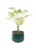 Bouquet di Brunnera artificiel 55cm verde-crema