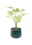 Bouquet di Brunnera artificiel 55cm verde-crema