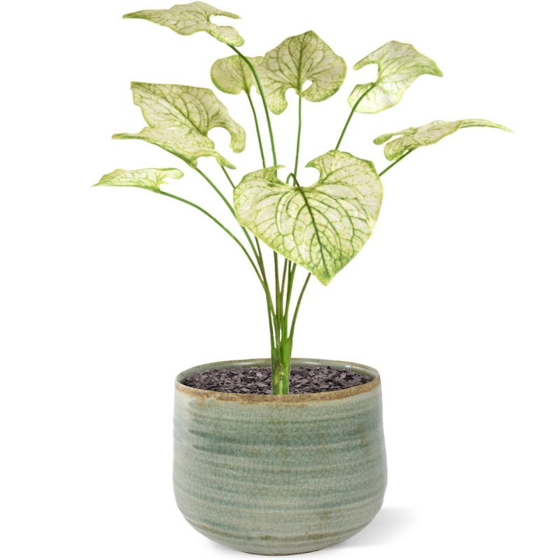 Bouquet di Brunnera artificiel 55cm verde-crema