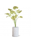 Bouquet di Brunnera artificiel 55cm verde-marrone