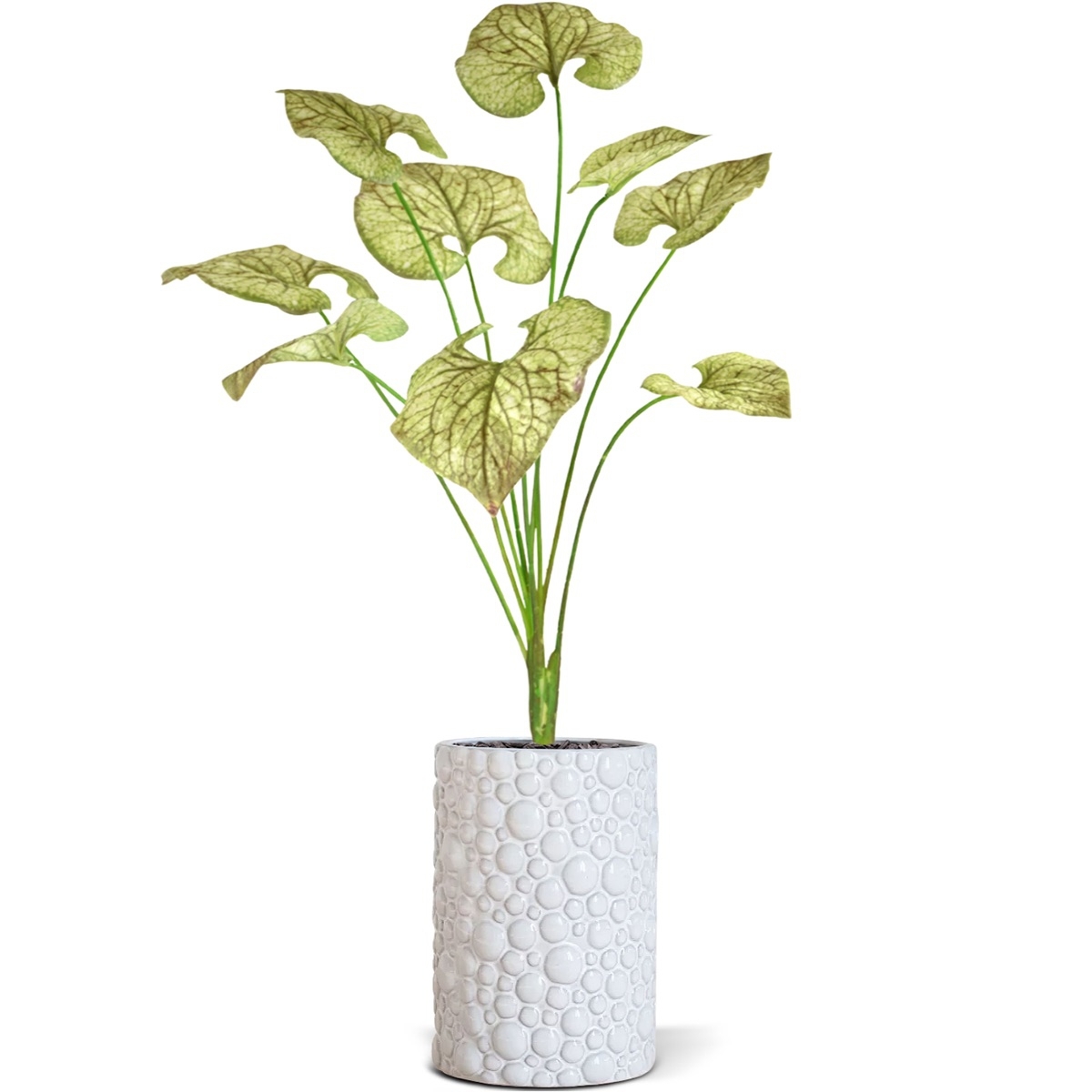 Bouquet di Brunnera artificiel 55cm verde-marrone