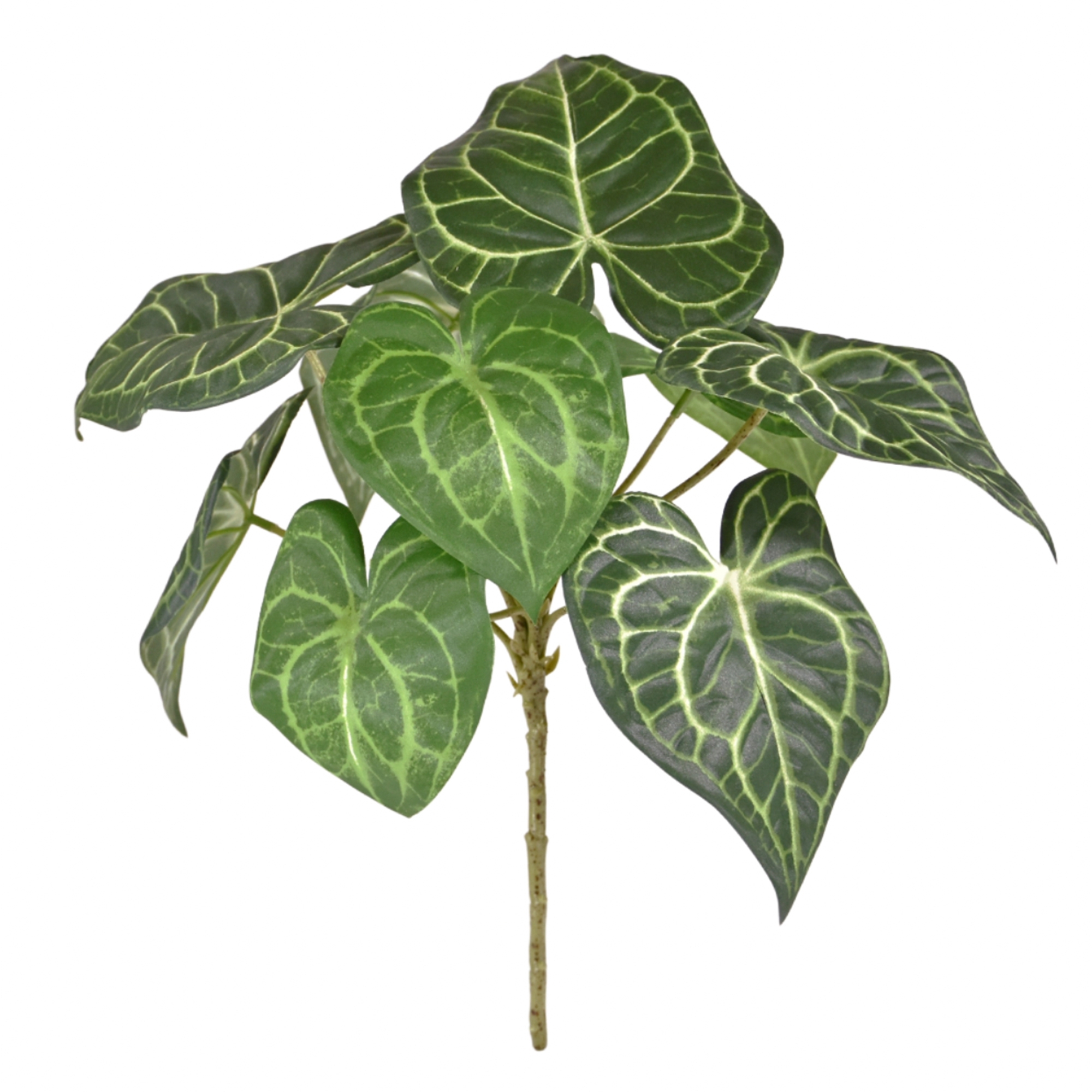 Anthurium Clarinervium artificiel bouquet 30 cm