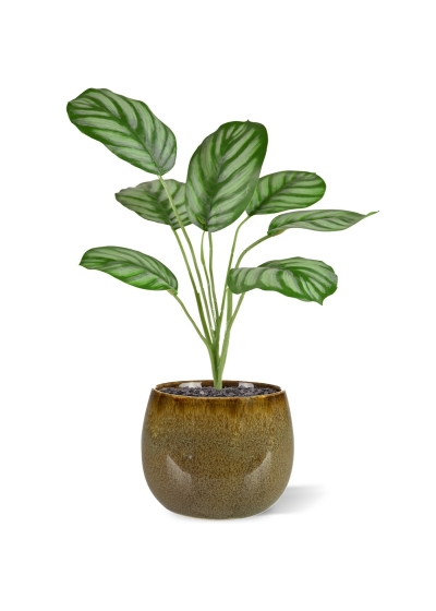 Calathea Maranta pianta artificiale 30 cm