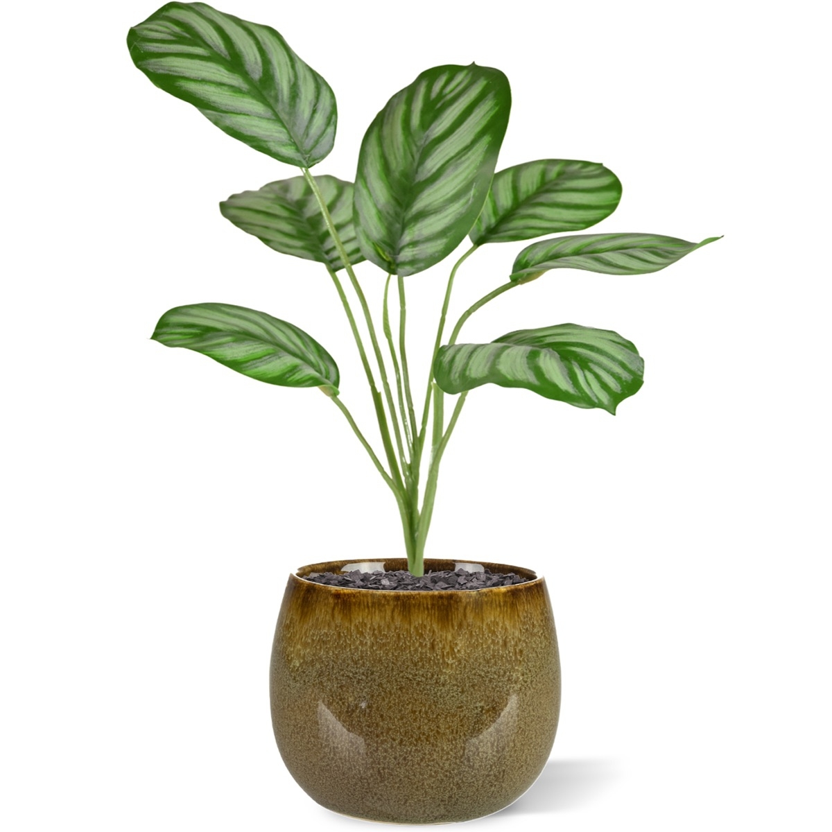 Calathea Maranta pianta artificiale 30 cm