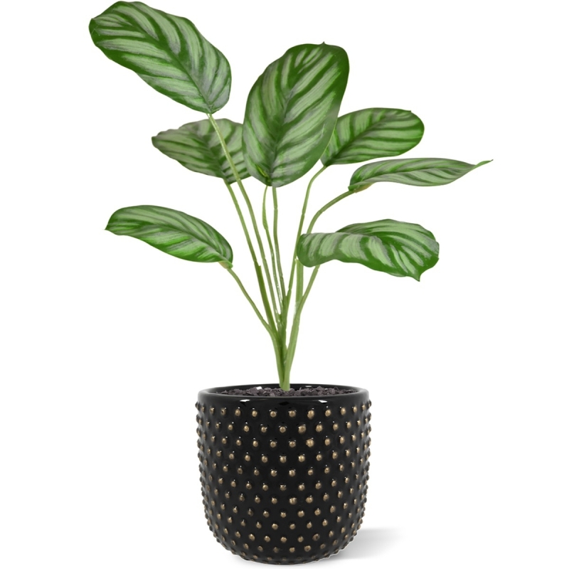 Calathea Maranta pianta artificiale 30 cm