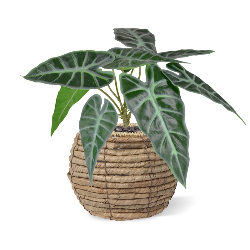Alocasia Polly pianta artificiale 30 cm