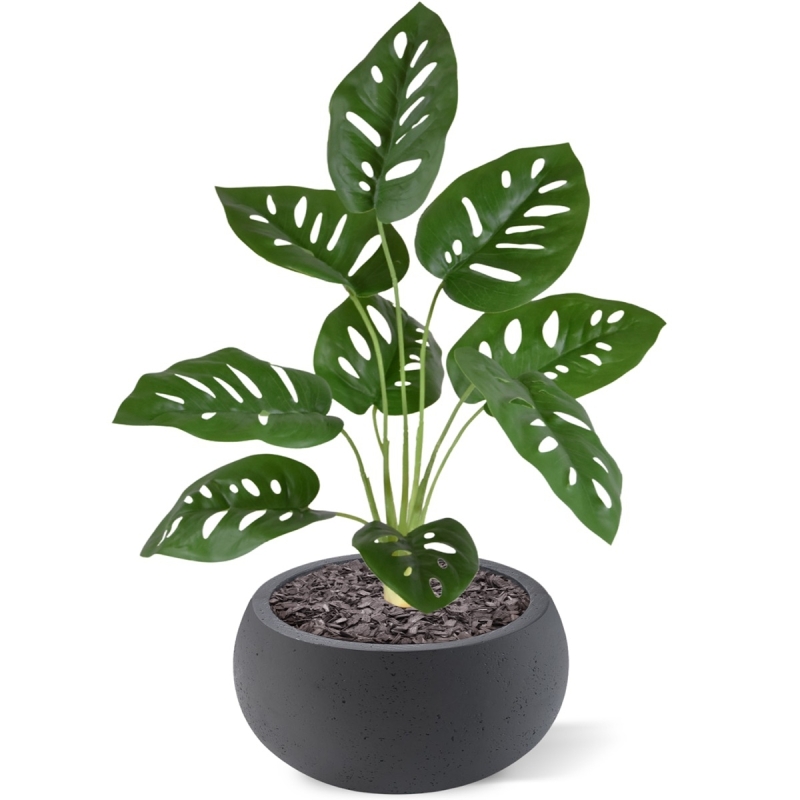 Monstera Adonsonii pianta artificiale 40 cm