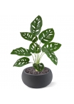 Monstera Adonsonii pianta artificiale 40 cm