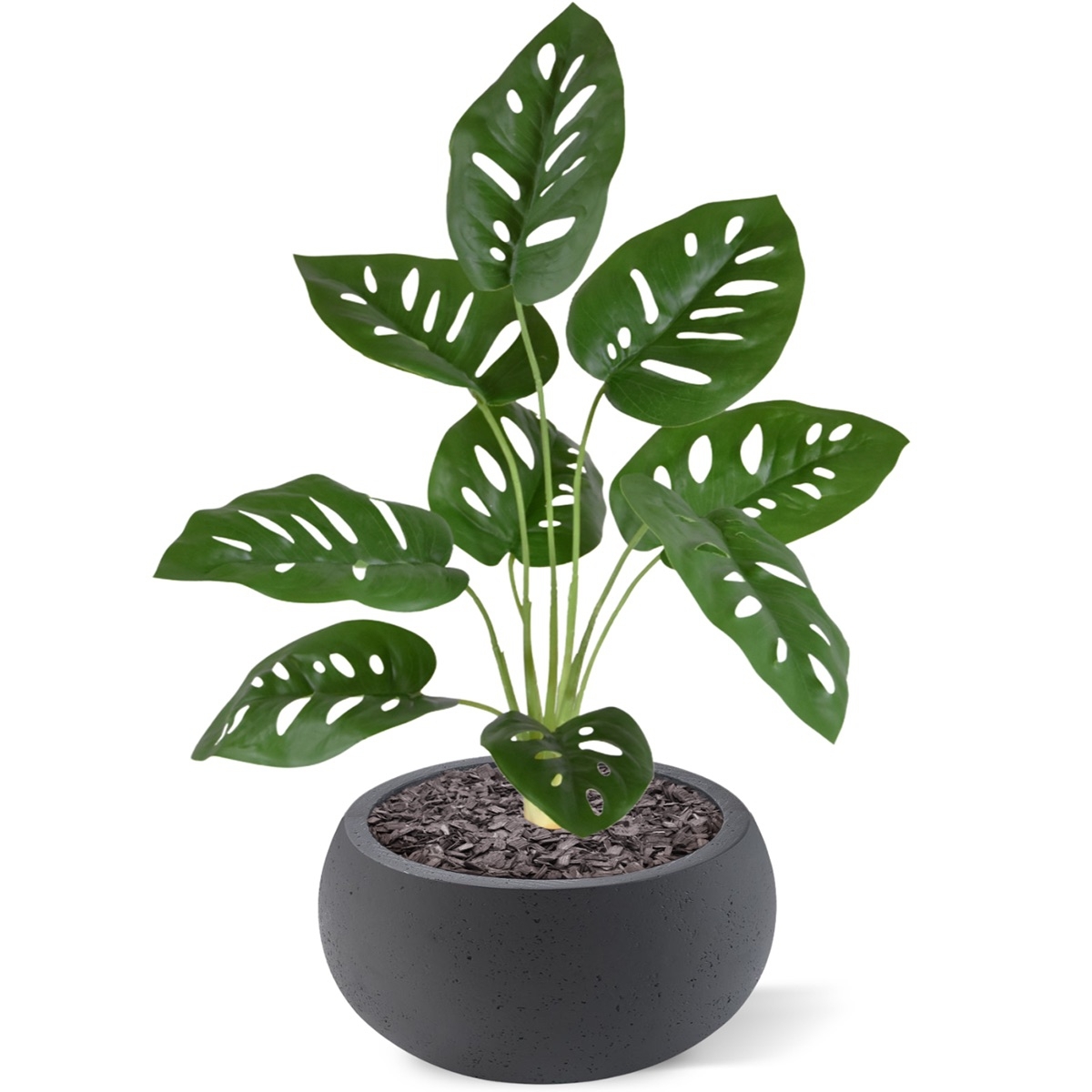 Monstera Adonsonii pianta artificiale 40 cm