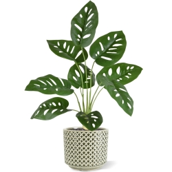 Monstera Adonsonii pianta artificiale 40 cm