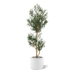 Olivo artificiale promo 180cm