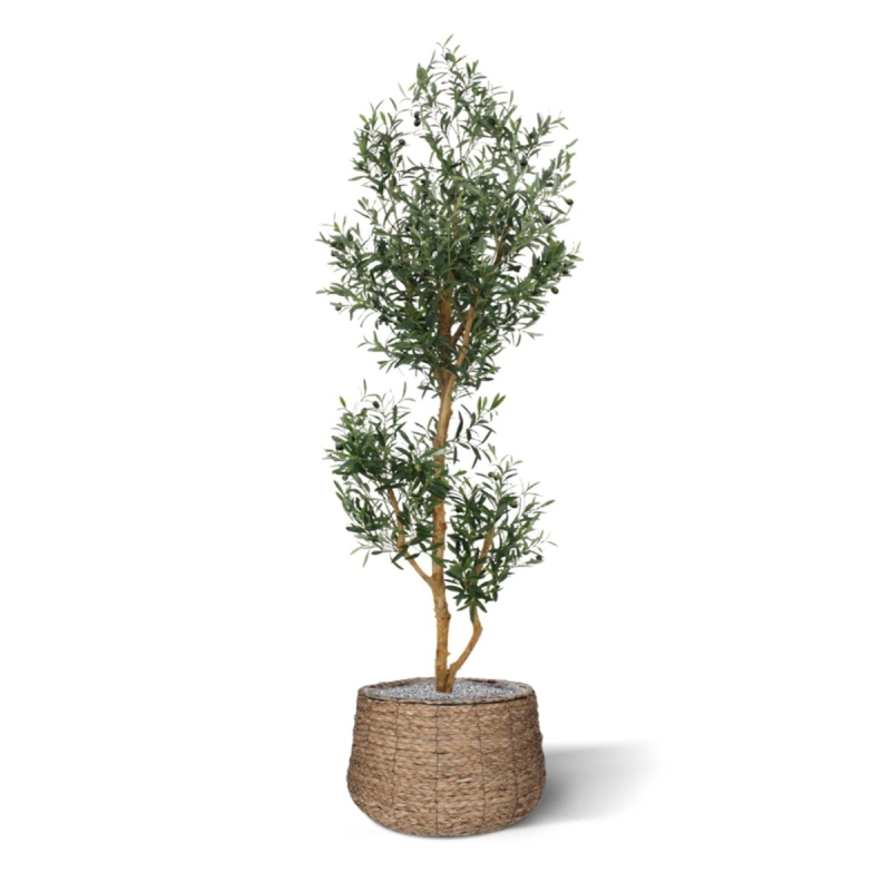 Olivo artificiale promo 180cm