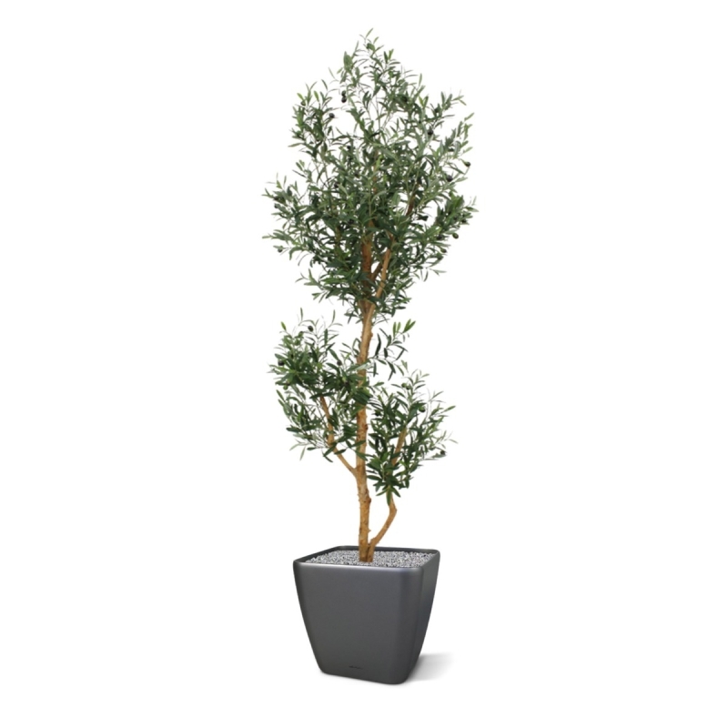 Olivo artificiale promo 180cm