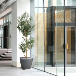 Olivo artificiale promo 180cm
