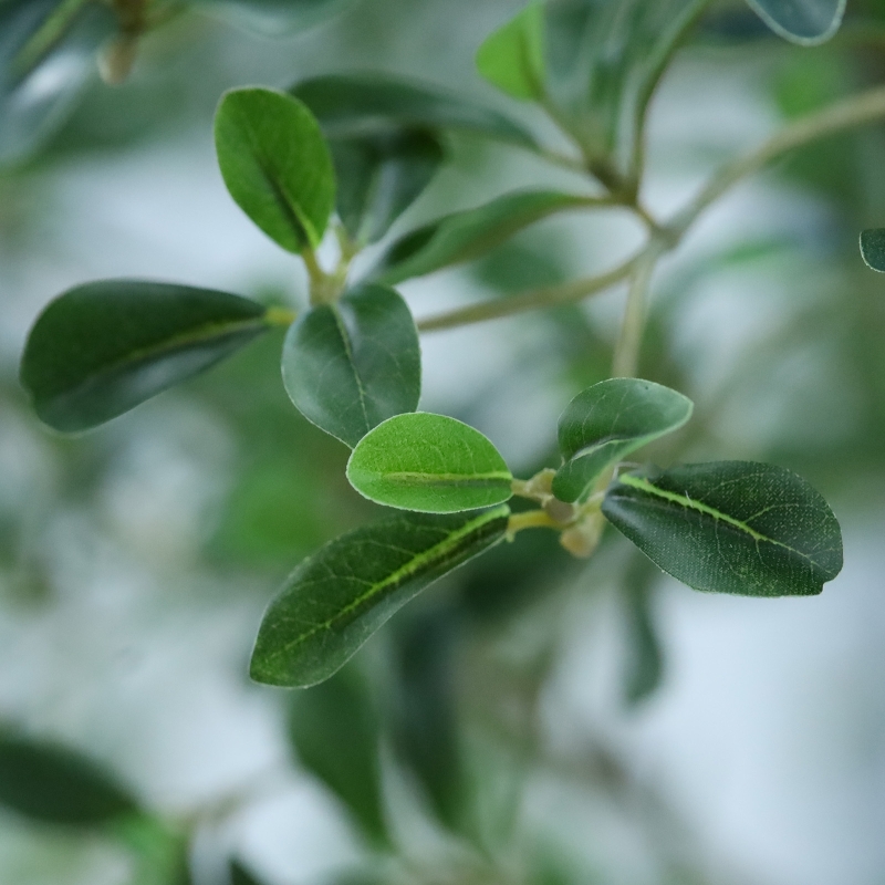 Albero artificiale Bucida Shady Lady verde 400 cm